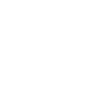 Search Icon